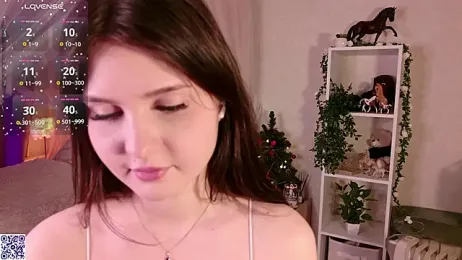 LeraKit webcam model stream image