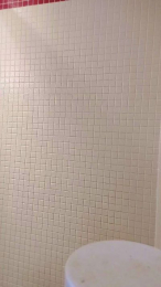 TJ_Mackey webcam model stream image