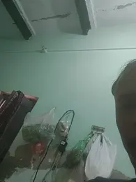 Cute-Charvii webcam model stream image