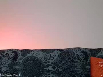 lea_exe webcam model stream image