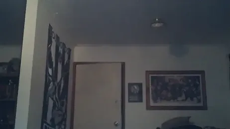 BLUEYEDBEAR69 webcam stripchat model stream image