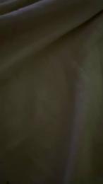 Susibrazil1 webcam model stream image