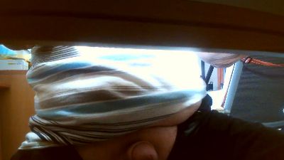 legov4 webcam model stream image