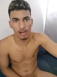 ARES_DAM webcam model stream image