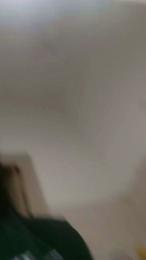 flor229 webcam preview