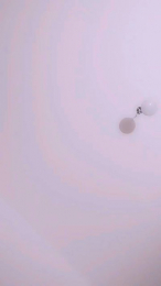 Anysaa webcam model stream image