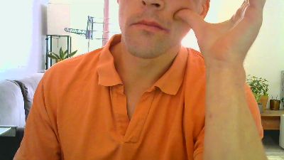 V3_6 webcam model stream image