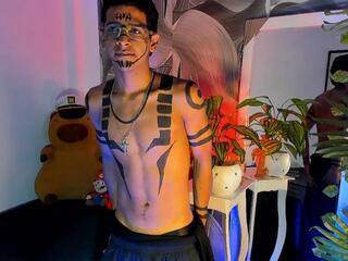 Tyler Erome webcam model stream image
