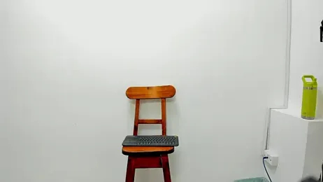 STEINER_01 webcam model stream image