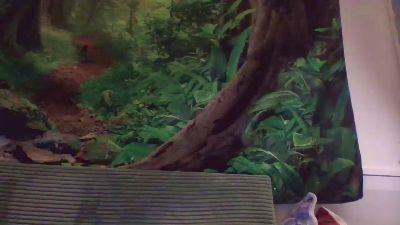 carlospuas webcam model stream image