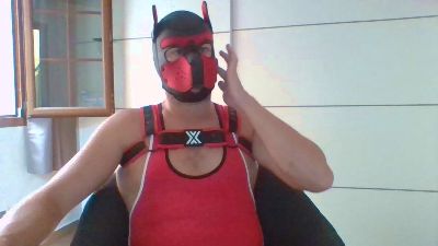 GelberBengel2ES webcam cam4 model stream image