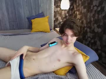 dennisbradsson webcam model stream image