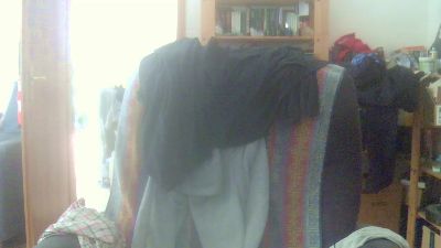 ppsau_le webcam model stream image