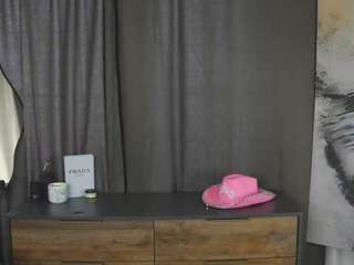 rennahopkin webcam model stream image