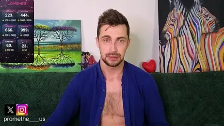 Promethe_us webcam model stream image