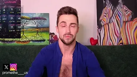 Promethe_us webcam model stream image