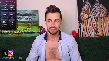 Promethe_us webcam model stream image