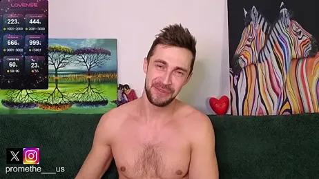 Promethe_us webcam model stream image