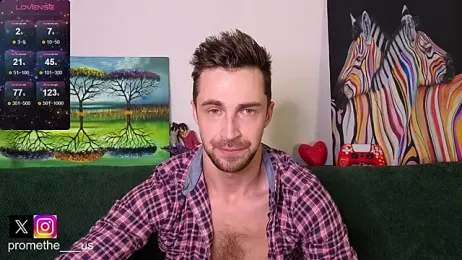 Promethe_us webcam model stream image