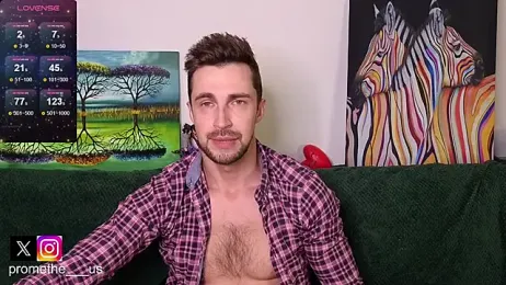 Promethe_us webcam model stream image