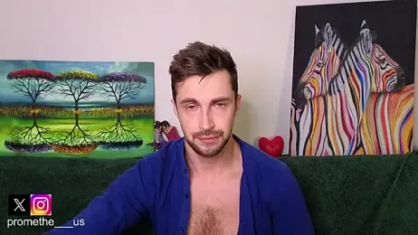 Promethe_us webcam model stream image