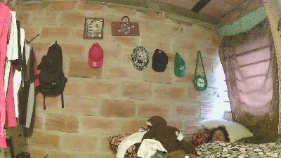 carlos9180 webcam model stream image