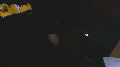 brakko2020 webcam cam4 model stream image