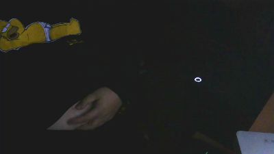 brakko2020 webcam model stream image