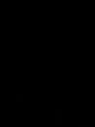 Raahafe webcam model stream image