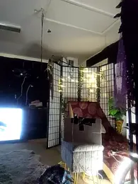 Hotredheadandtoungelasher webcam model stream image