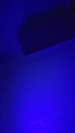 Elhadadeplata webcam model stream image