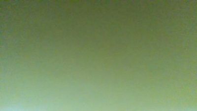 BIRDY1383 webcam model stream image