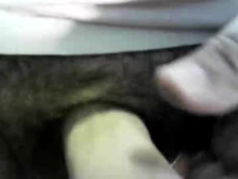 felicaste webcam model stream image