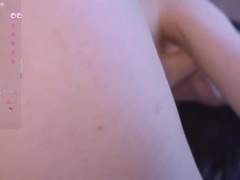 WindyButterfly webcam model stream image