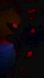 majo01 webcam model stream image