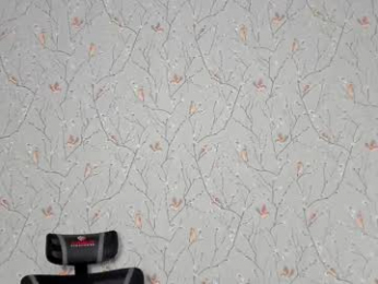 jacksonvox webcam model stream image