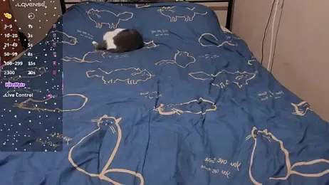 eva_zero webcam stripchat model stream image