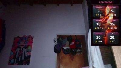 codenok webcam model stream image