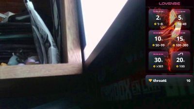 codenok webcam model stream image