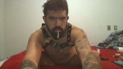morbostgo31 webcam model stream image