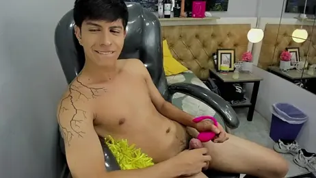 Estiv18_ webcam model stream image