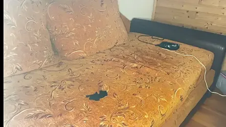 diablocuple webcam stripchat model stream image