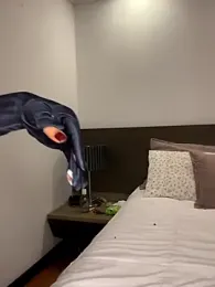 lauradaft webcam model stream image