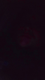 Pollaaac4 webcam model stream image
