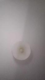 Stregapeperina webcam model stream image