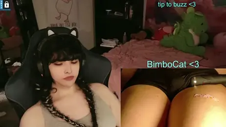 BimboCat webcam stripchat model stream image