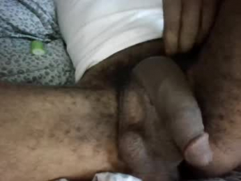 bertdollaz757 webcam model stream image