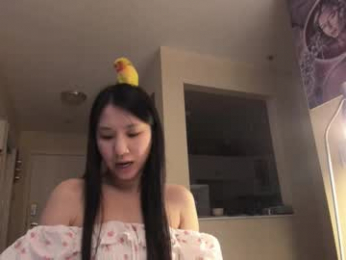 alizezaide webcam model stream image