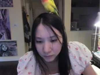 alizezaide webcam model stream image