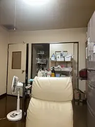 SaneService9 webcam model stream image